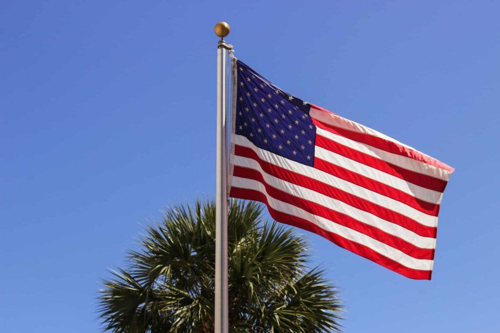 American flag waving proudly on a flagpole against a clear blue sky with a palm tree frond at the base