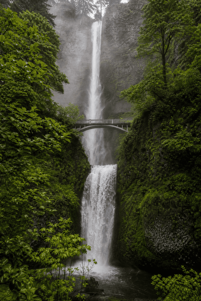 Oregon debt collection agency page shows Multnomah Falls cascading through lush green forest under a stone bridge